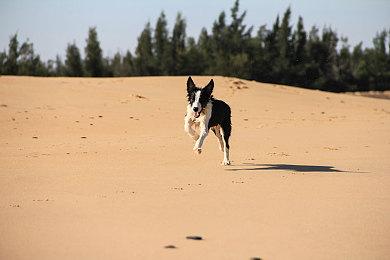 防止服务器不稳定 《绝地潜兵2》服务器设限45万人